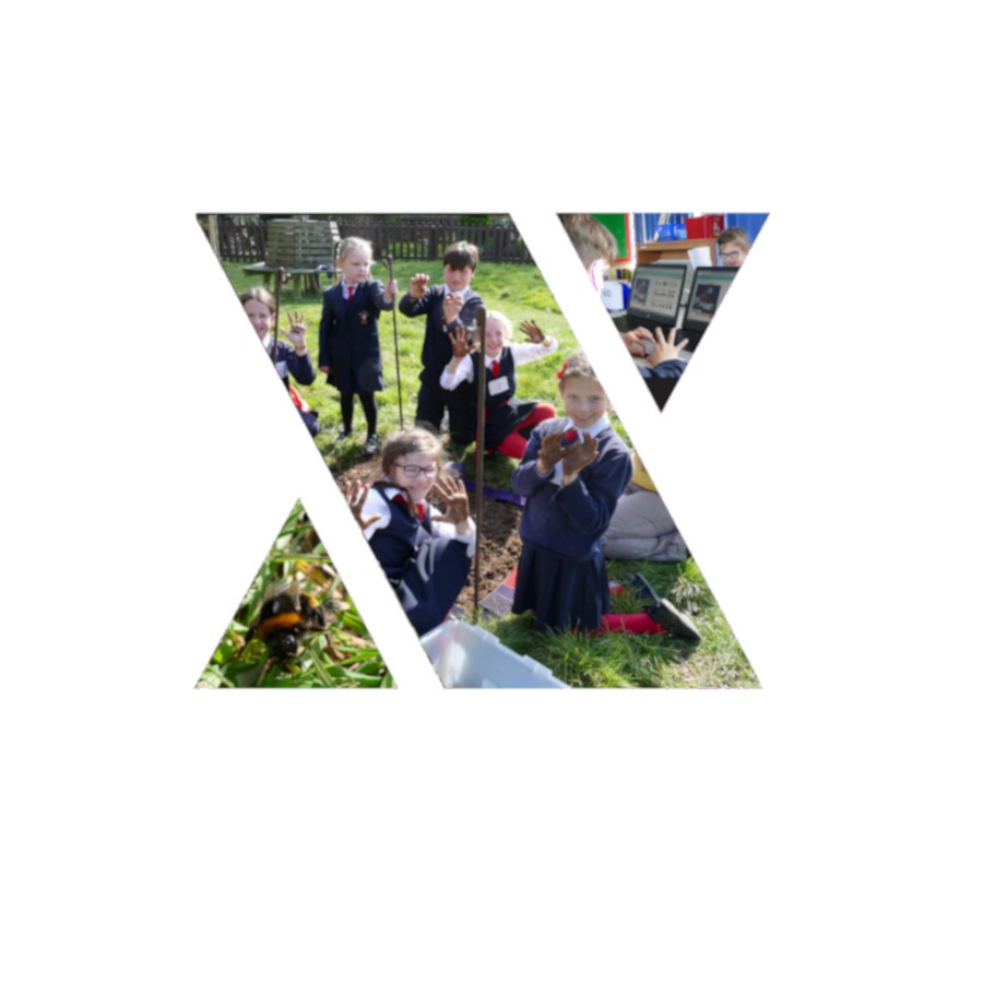 Learn about Pollinators and Pollinator Citizen Science