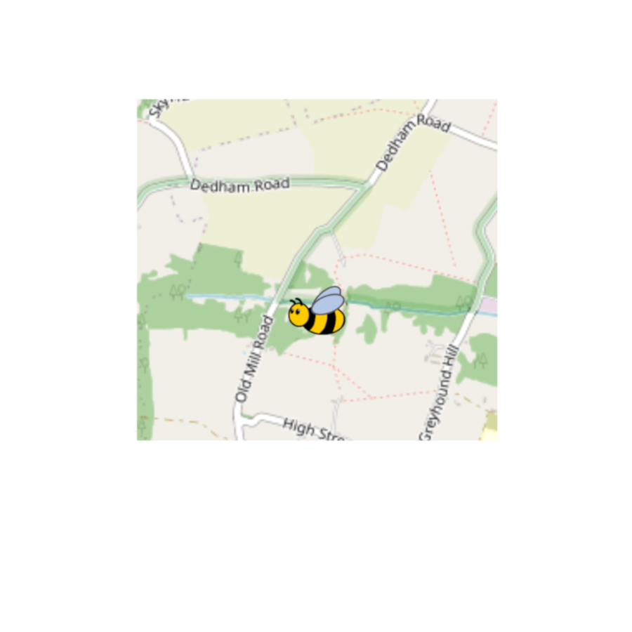 Submit a Photo-record of a bumblebee