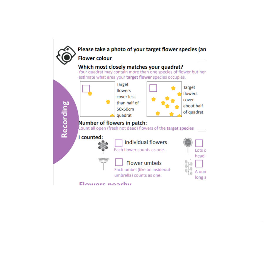 Submit an X-Polli:Nation Survey
