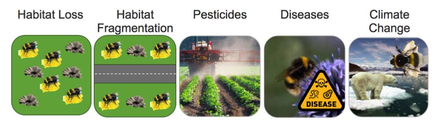 image showing threats to pollinators